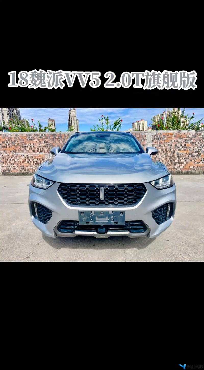 wey vv5 国产 SUV：引领时尚与性能的卓越之选